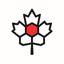 CANMATCH Logo